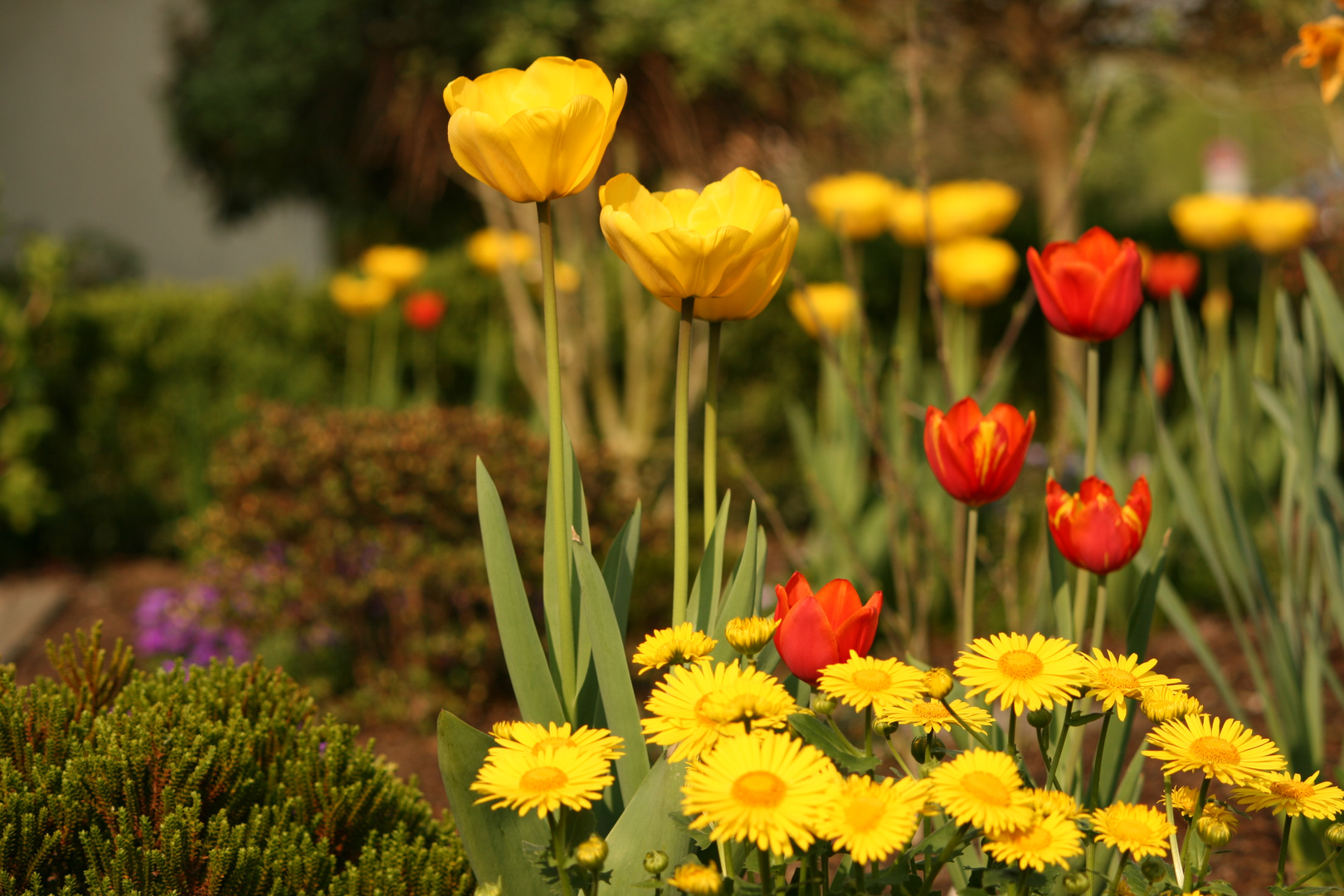 endlich Frühling :)