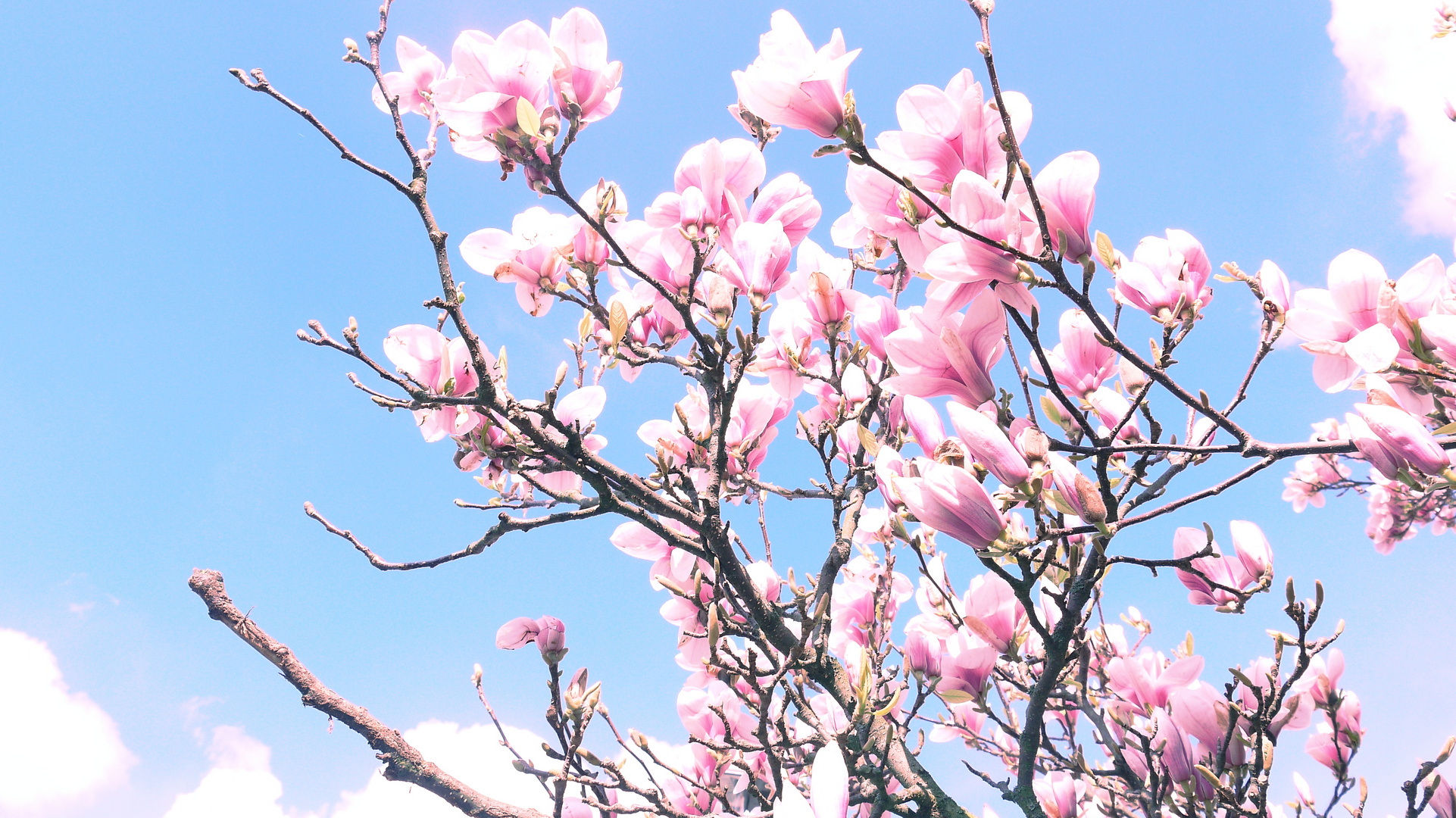 Endlich Frühling