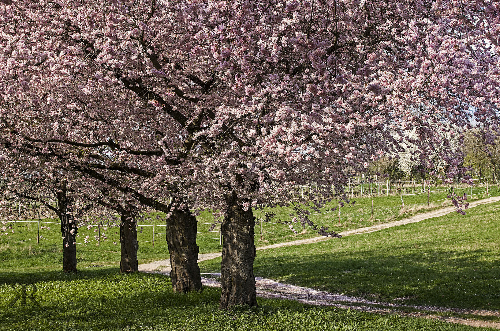 .....endlich Frühling