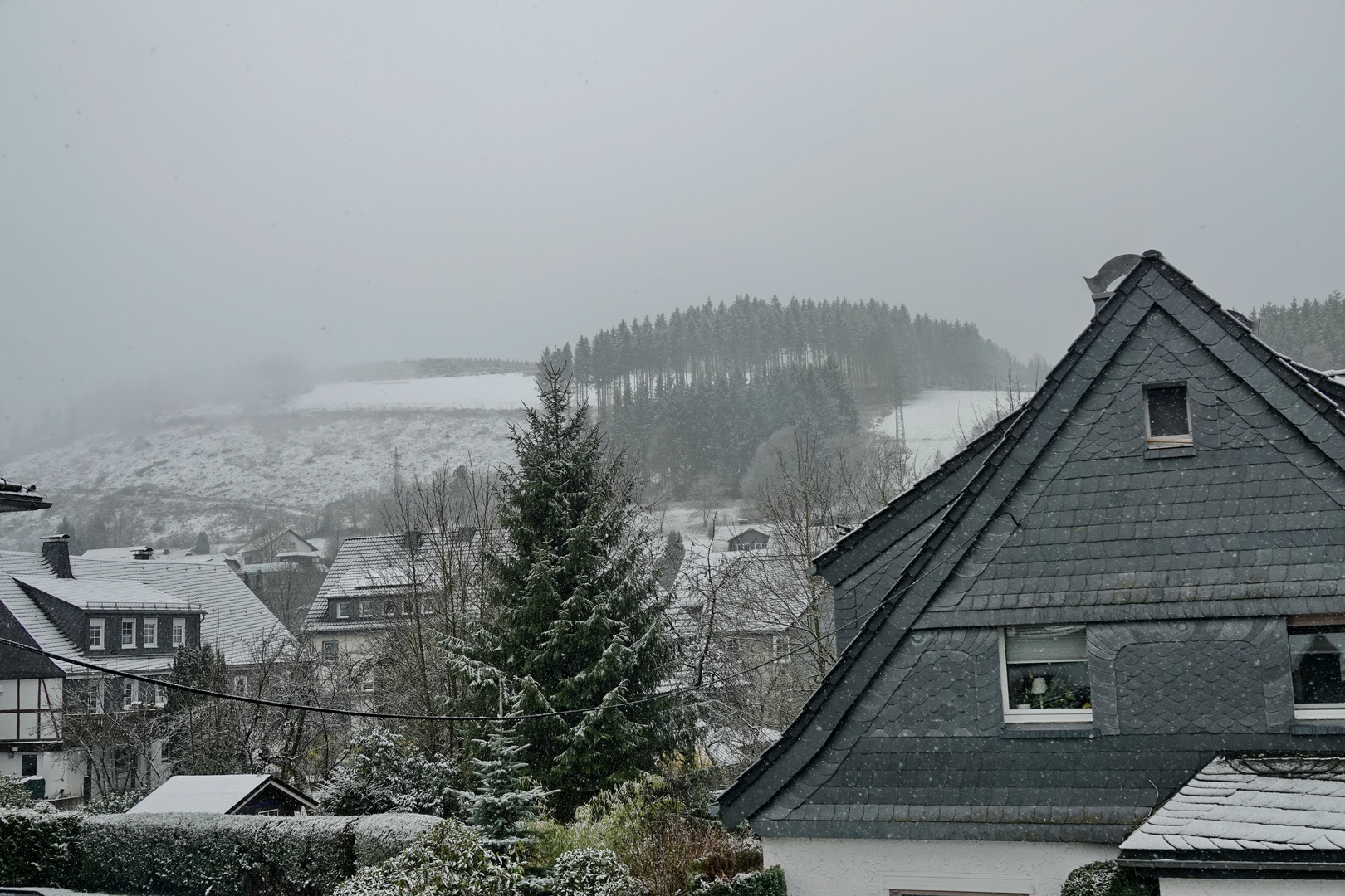 Endlich Frühling...