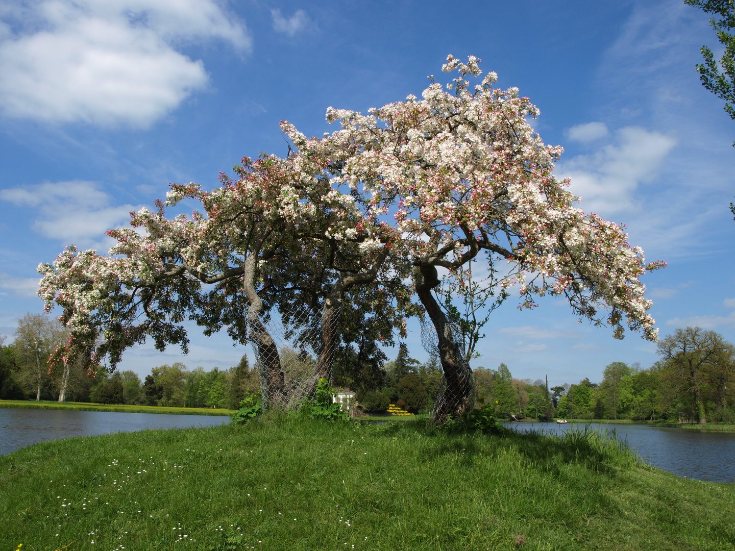 endlich Frühling