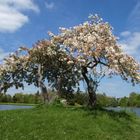 endlich Frühling