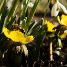 Endlich Frühling!