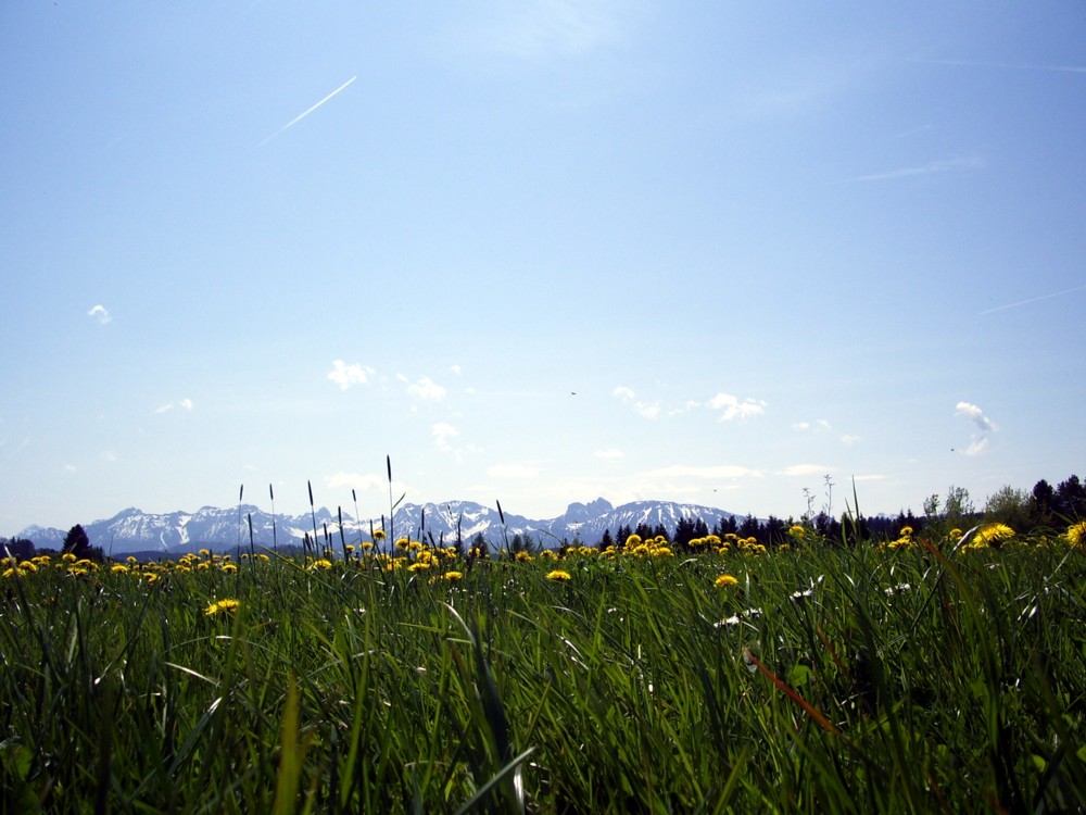 Endlich Frühling