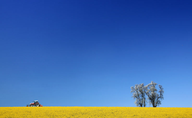 Endlich Frühling