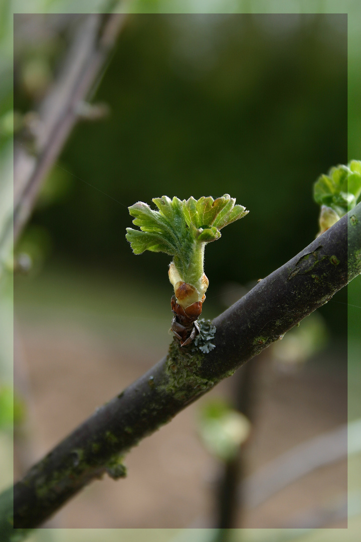 Endlich Frühling