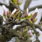 Endlich Frühling