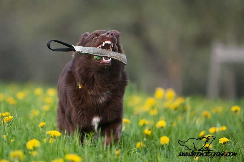 Endlich Frühling!