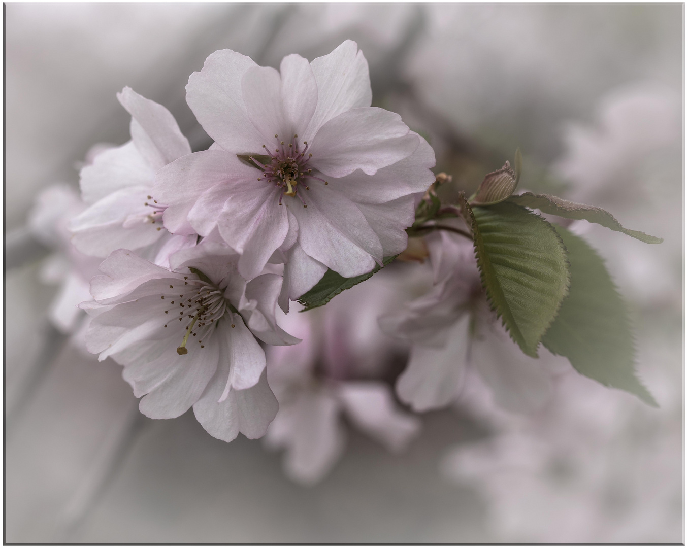 endlich Frühling