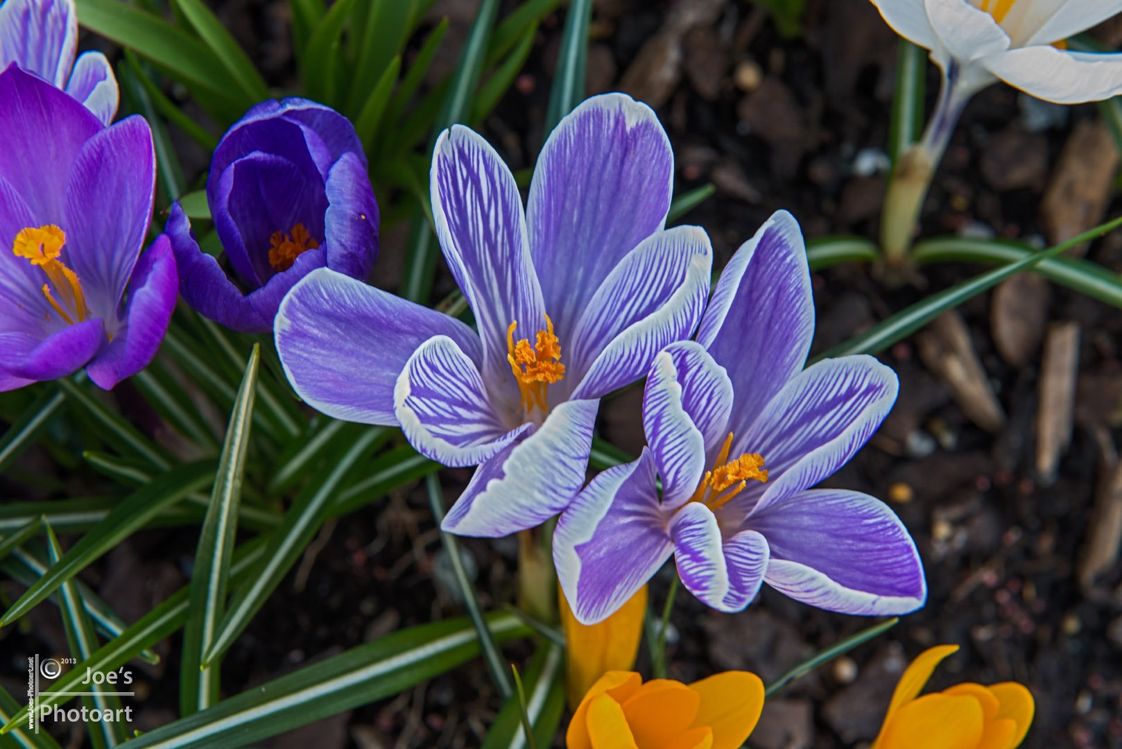 Endlich Frühling.....