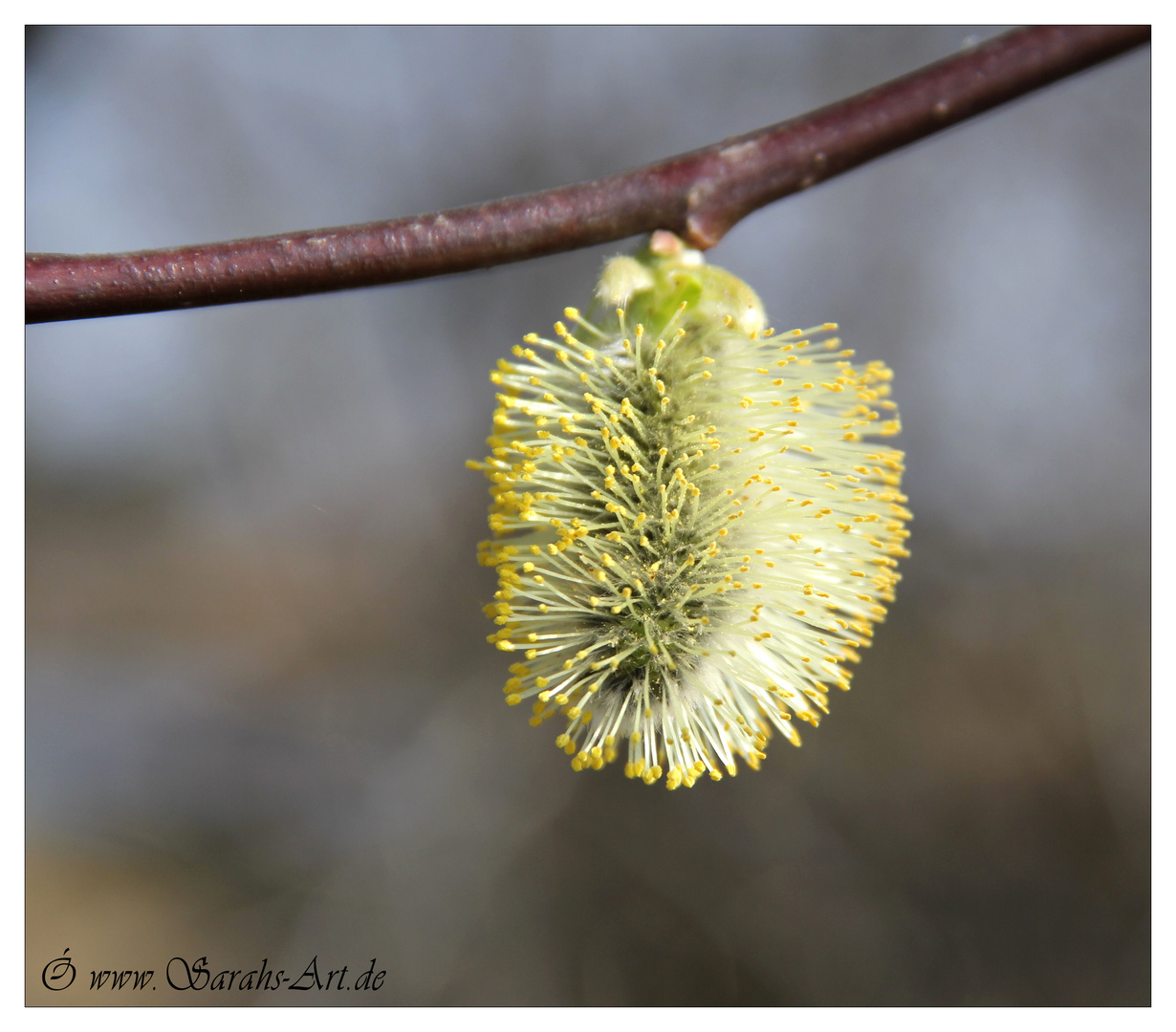 Endlich Frühling