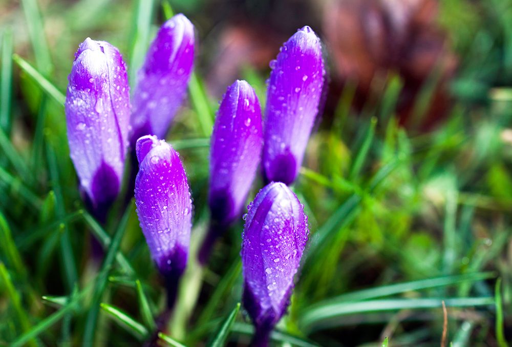 Endlich Frühling