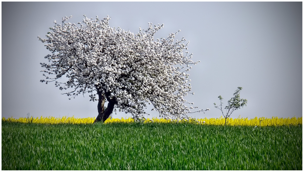 Endlich Frühling