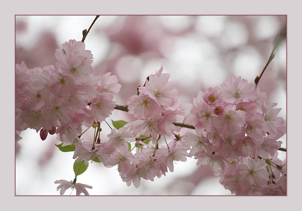 Endlich Frühling!