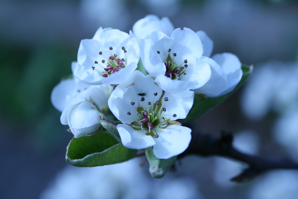 endlich Frühling