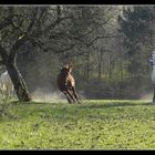 Endlich Frühling - endlich Freiheit 5