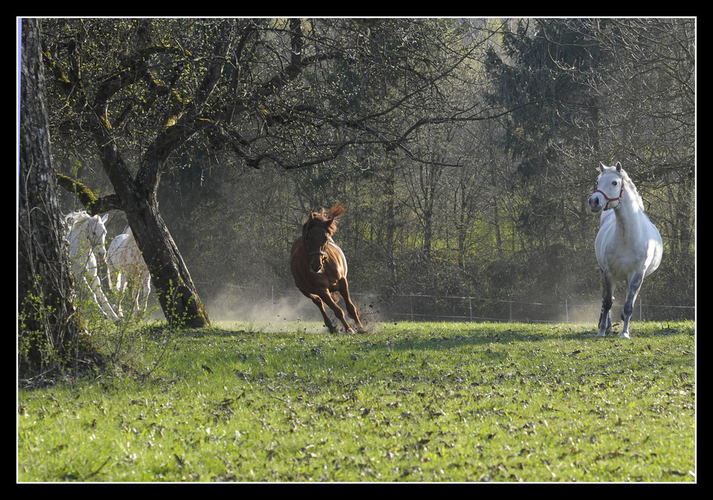 Endlich Frühling - endlich Freiheit 5