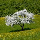 Endlich Frühling, endlich Wandern!