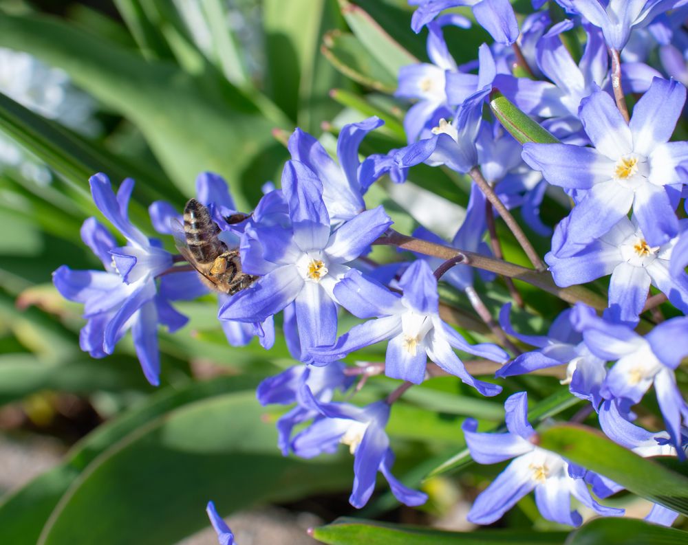 Endlich Frühling