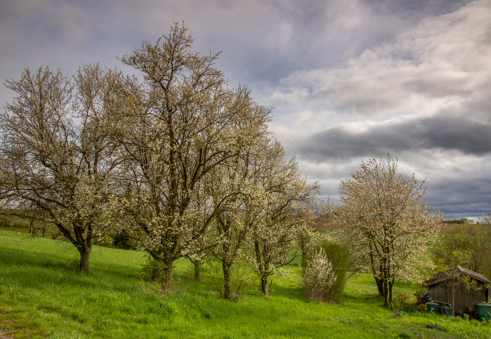 Endlich Frühling