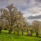 Endlich Frühling