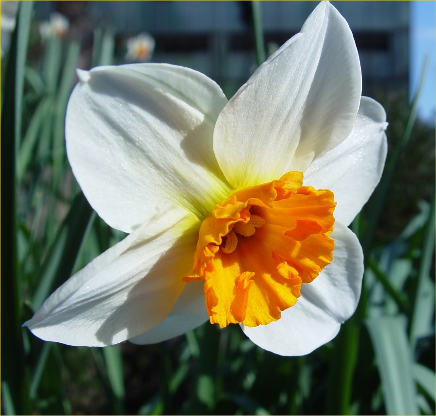 Endlich Frühling