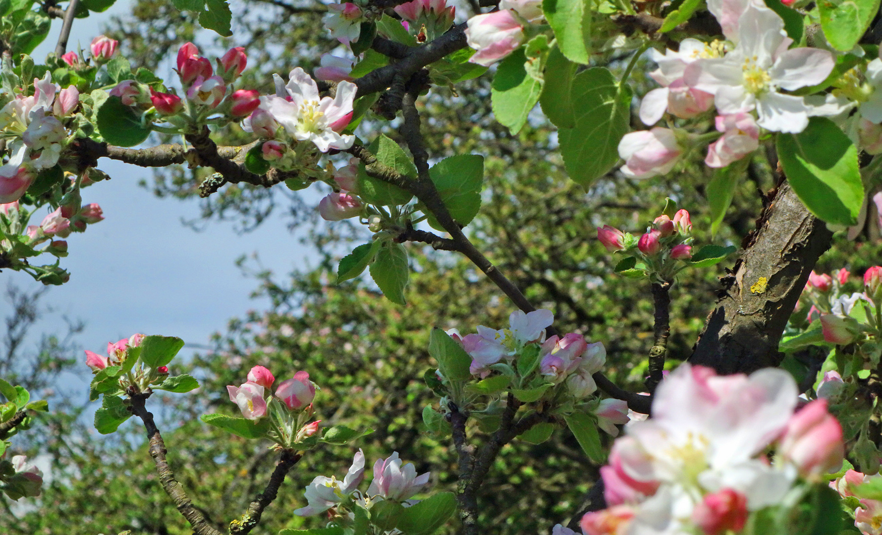 Endlich Frühling