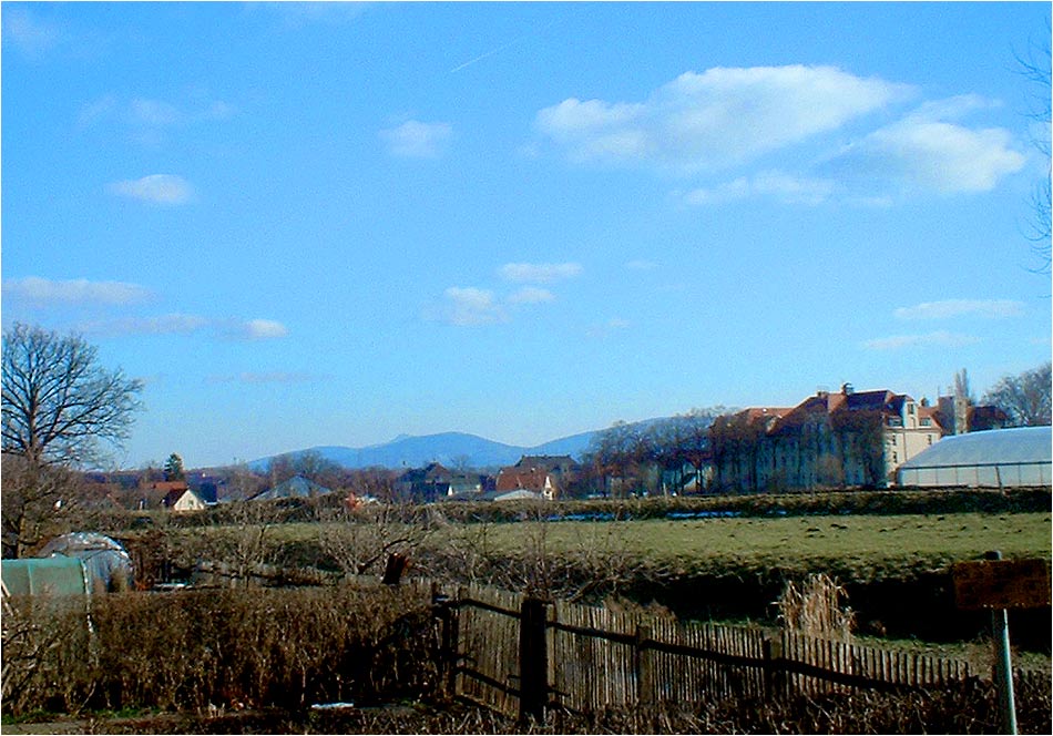 Endlich Frühling