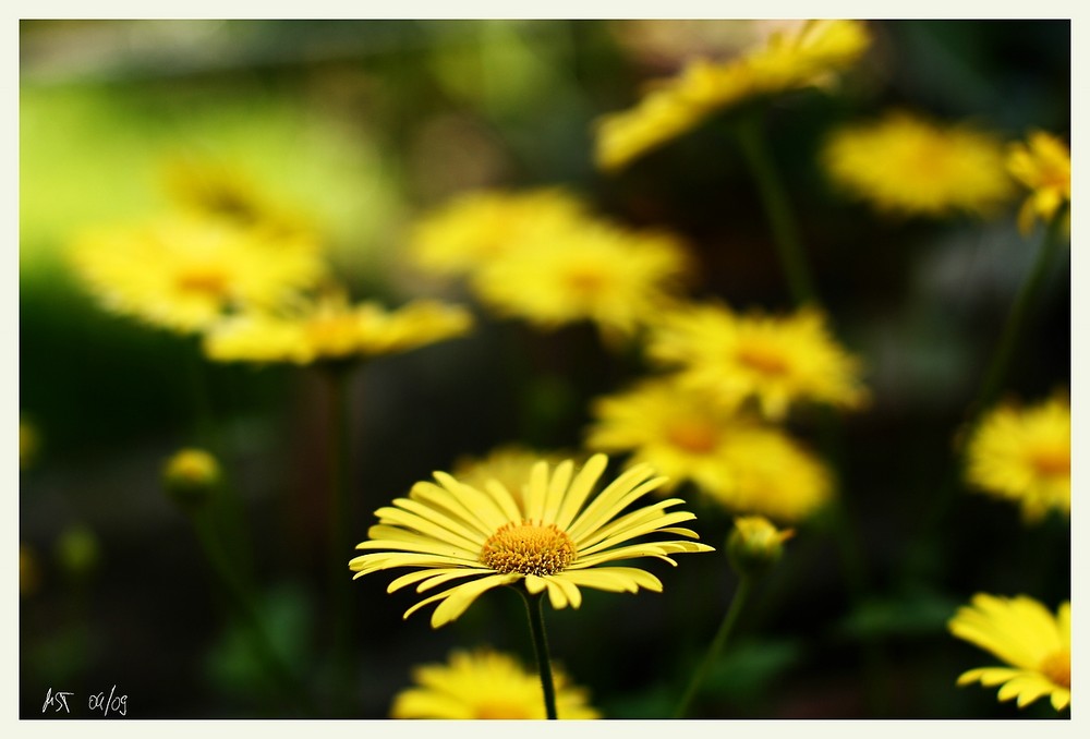 endlich Frühling