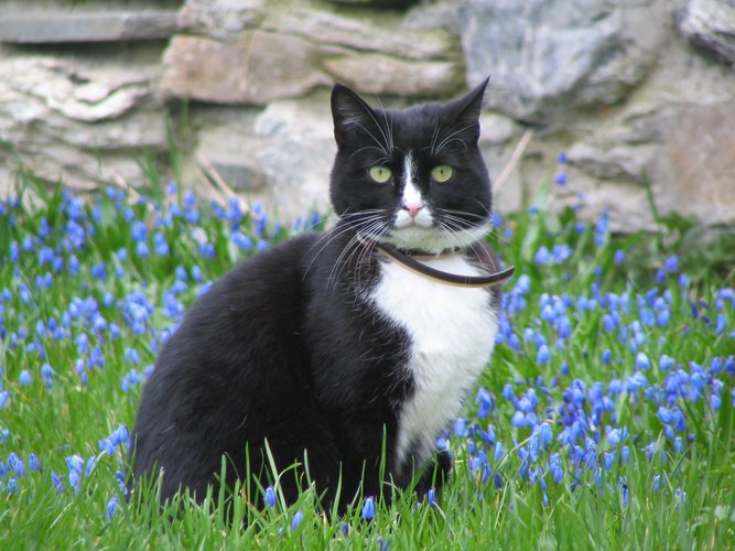 Endlich Frühling