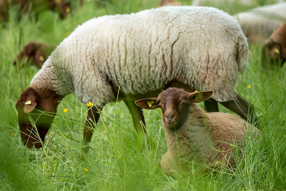 Endlich Frühling