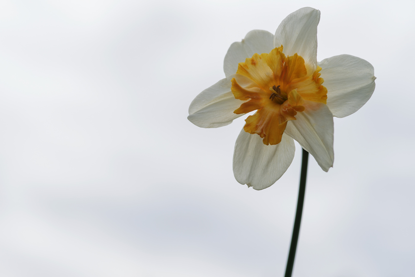 Endlich Frühling