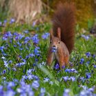 Endlich Frühling