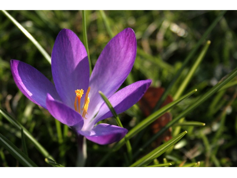 Endlich Frühling