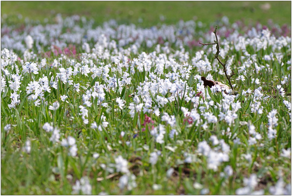 endlich Frühling II