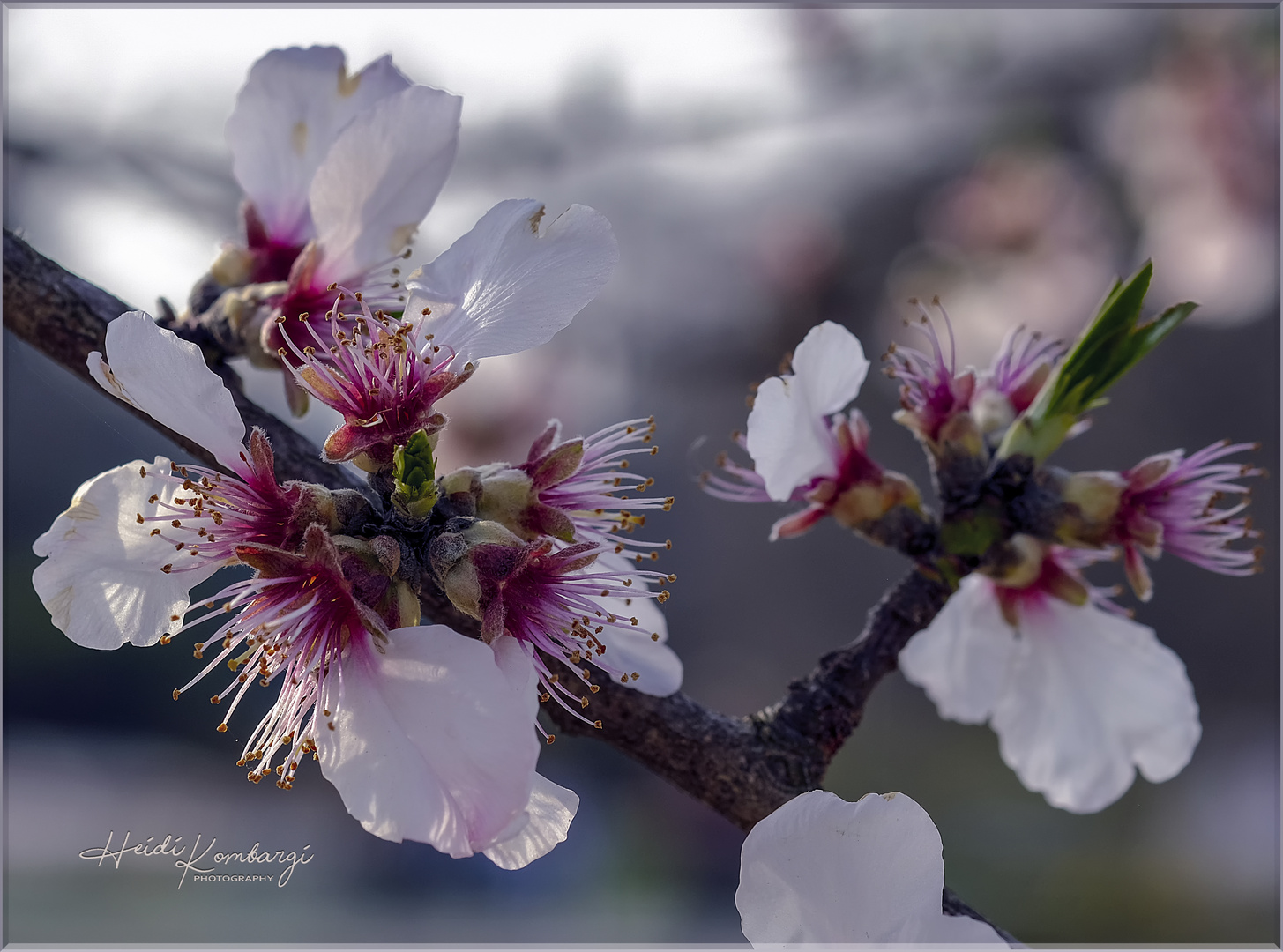 ENDLICH FRÜHLING III