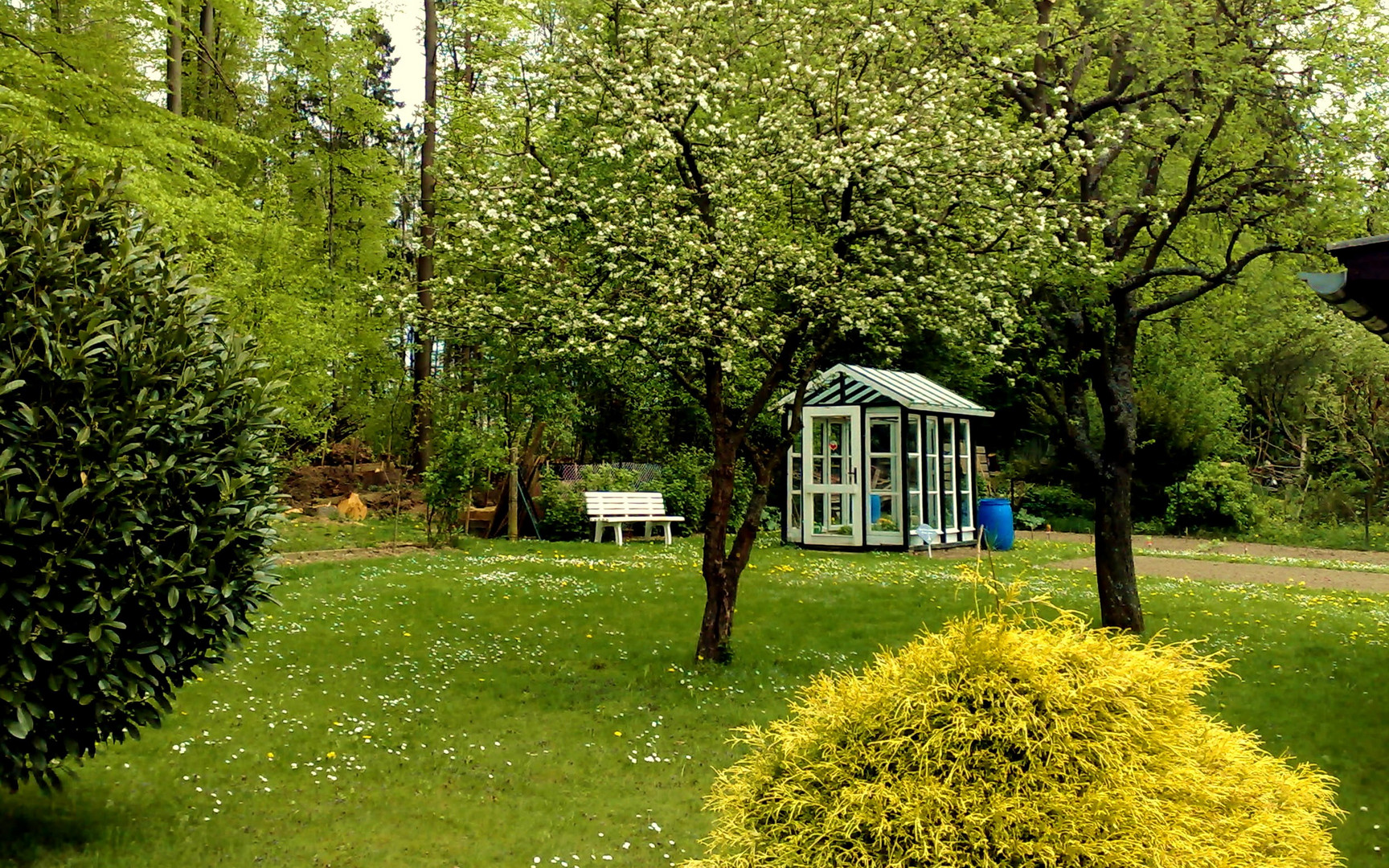 Endlich - Frühling im Westerwald