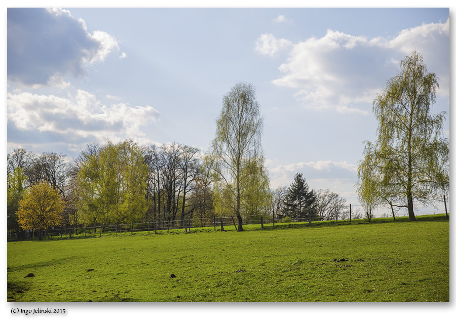 Endlich Frühling in Kranzberg