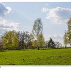 Endlich Frühling in Kranzberg