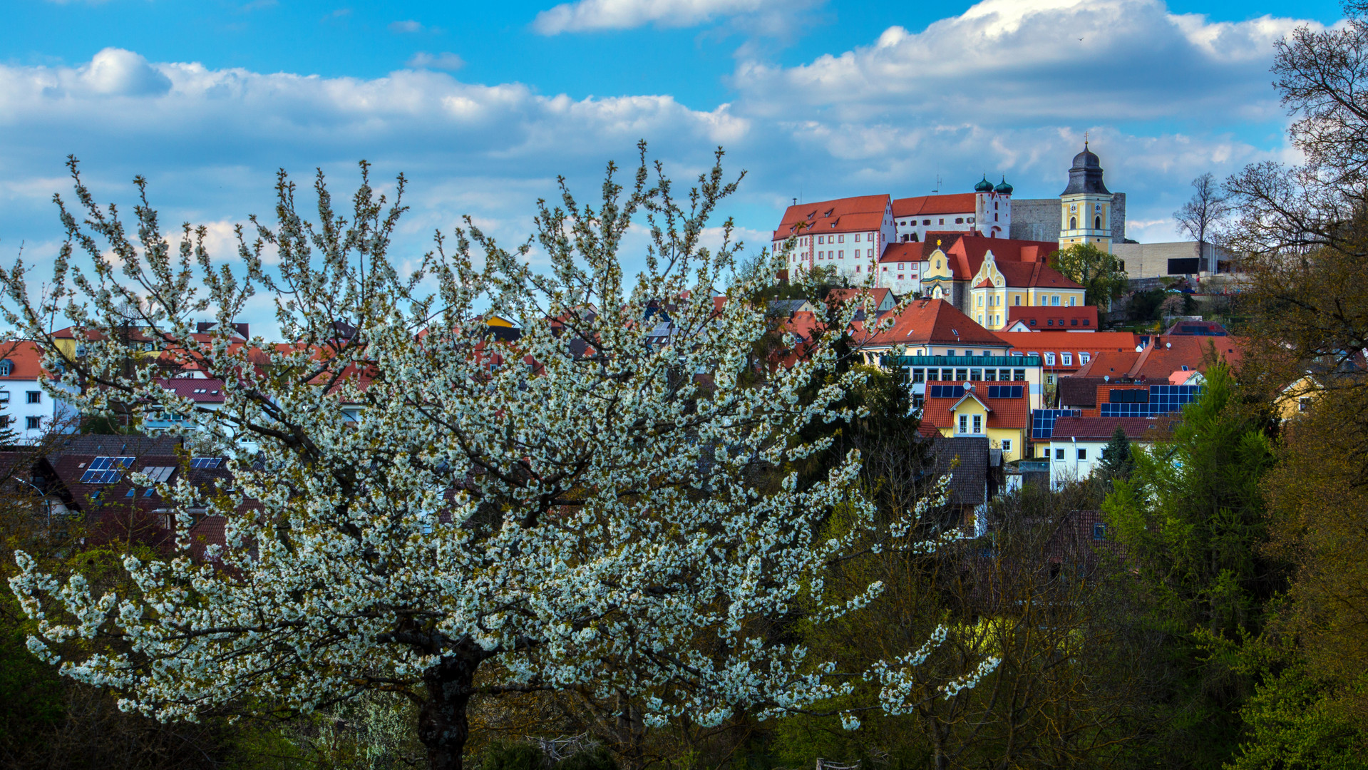 Endlich Frühling in Parsberg