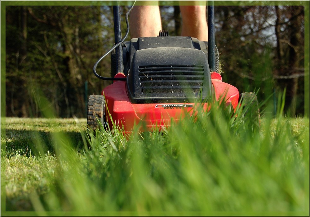 Endlich Frühling mein Kumpel kann endlich wieder.................. :-) von rvh robert van heek 