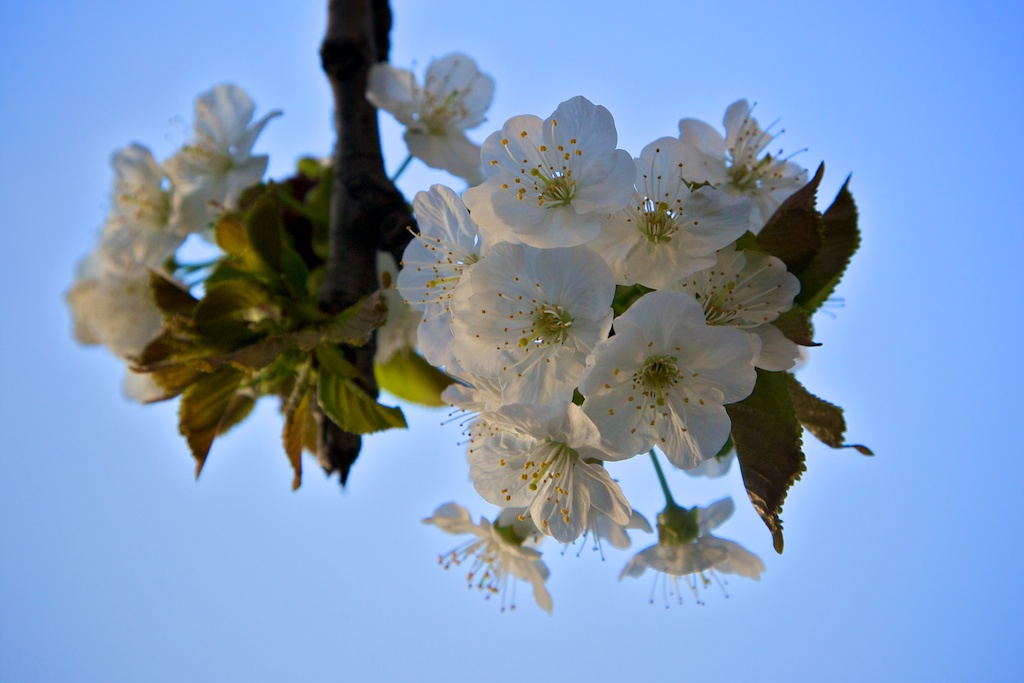 Endlich Frühling ... Teil 1