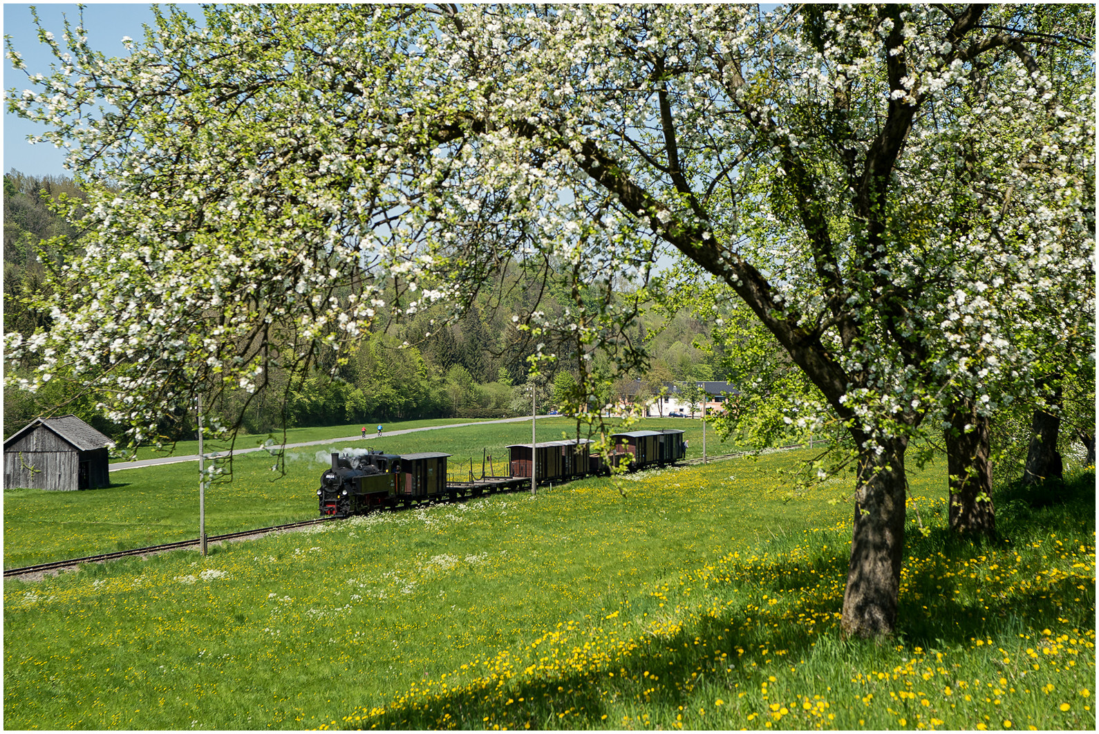 Endlich Frühling V