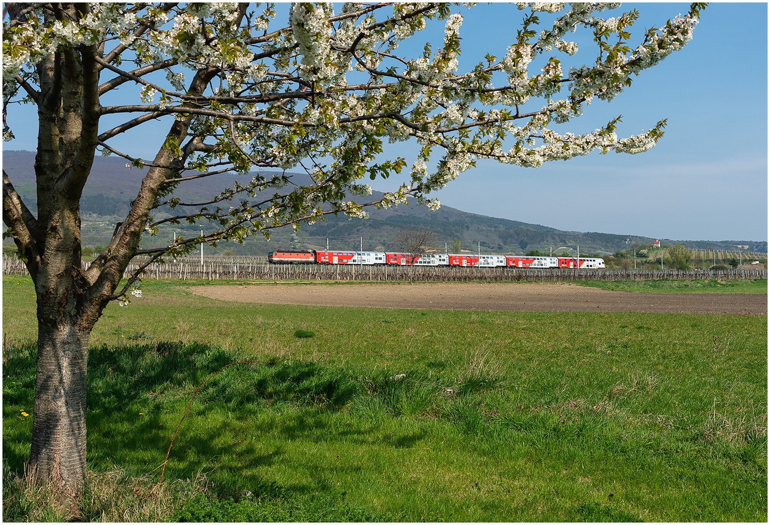 Endlich Frühling VIII