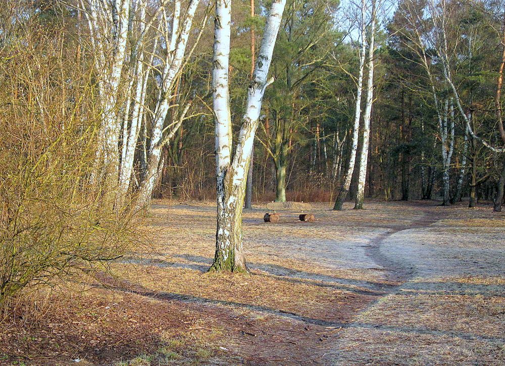 endlich Frühlingsanfang...bei - 4°C auf dem Weg zur Arbeit..