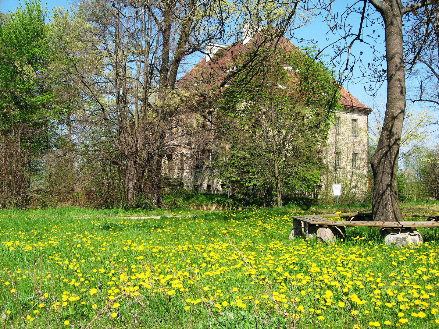 Endlich Fühling ......