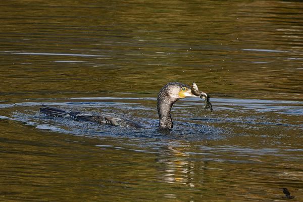 endlich Glück gehabt