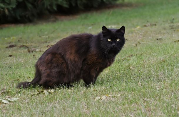 Endlich habe ich unseren Fidel mal erwischt!