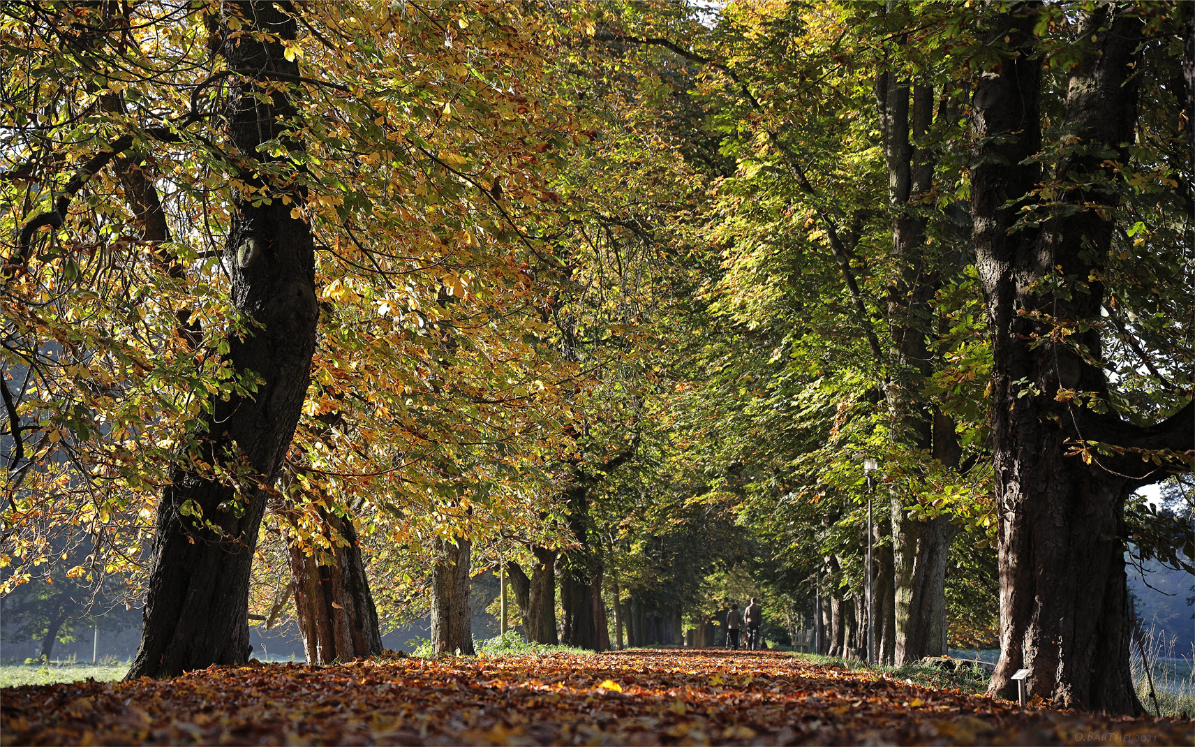 Endlich Herbst (2)