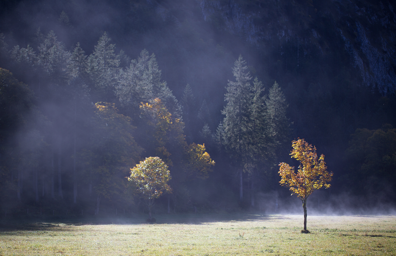 Endlich Herbst